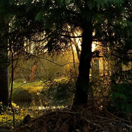 La Maison De L'omignon Vermand