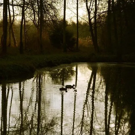 La Maison De L'omignon 3* Vermand