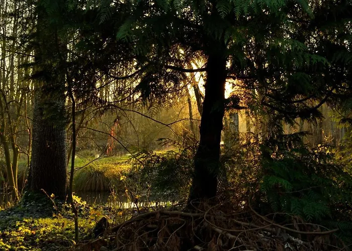 La Maison De L'omignon Vermand