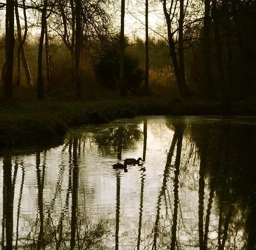 La Maison De L'omignon 3* Vermand